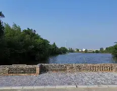 巴林队操刀欧洲，兢兢业业碰砖烂铁